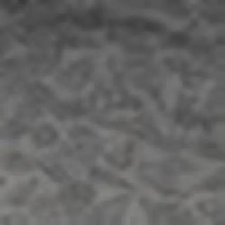 Blurred gray textured background for 1X-2X Women’s Plus Size Rain Jacket Windbreaker